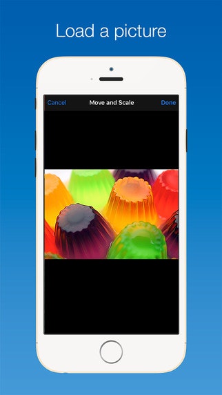 Things that Bounce gallery image