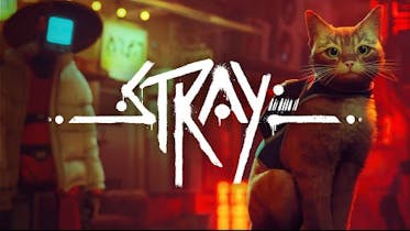 Cat game Stray knocks things off shelves for Mac users coming soon —  GAMINGTREND