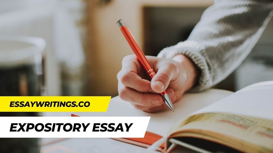 Essay Writing Service