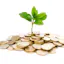 Funding Hunt