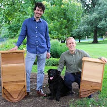 BatBnB gallery image