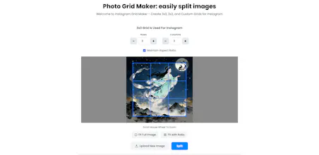 PicsResizer gallery image