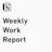 Notion Weekly Work Report