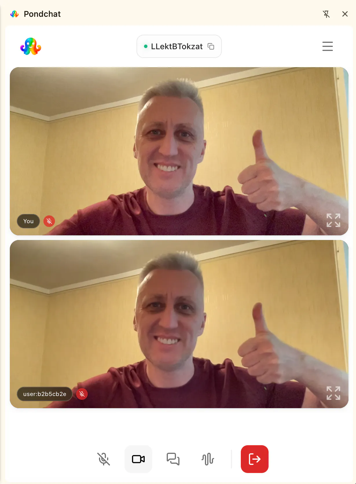 Pondchat — a quiet P2P video pond gallery image