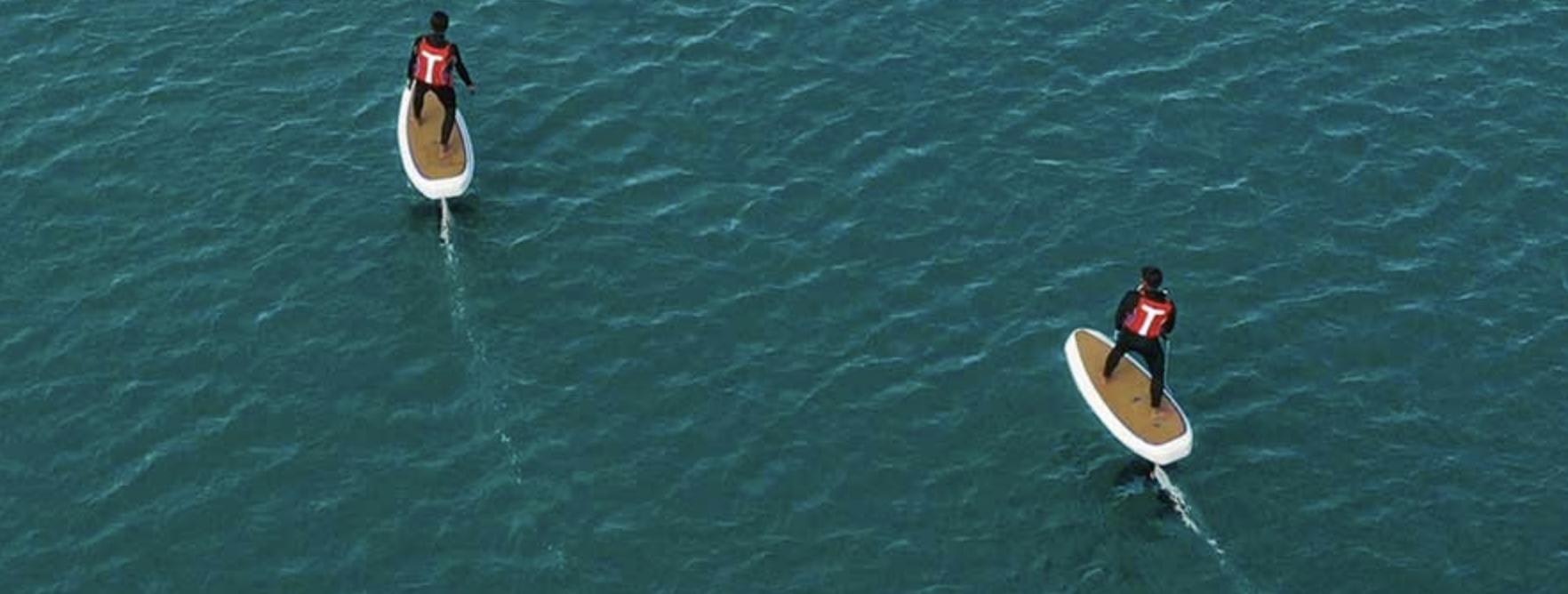 Waydoo gallery image