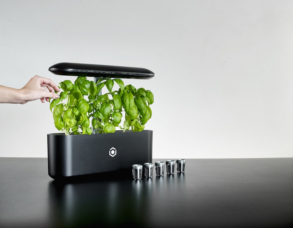 AVA Byte gallery image