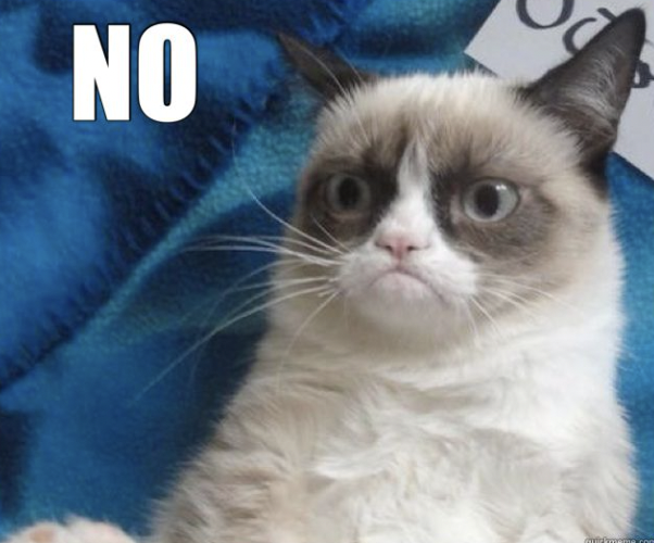 Poll option No image