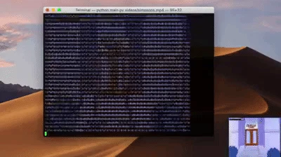 Video to ASCII