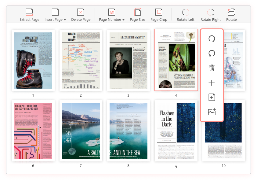 PDF Agile gallery image