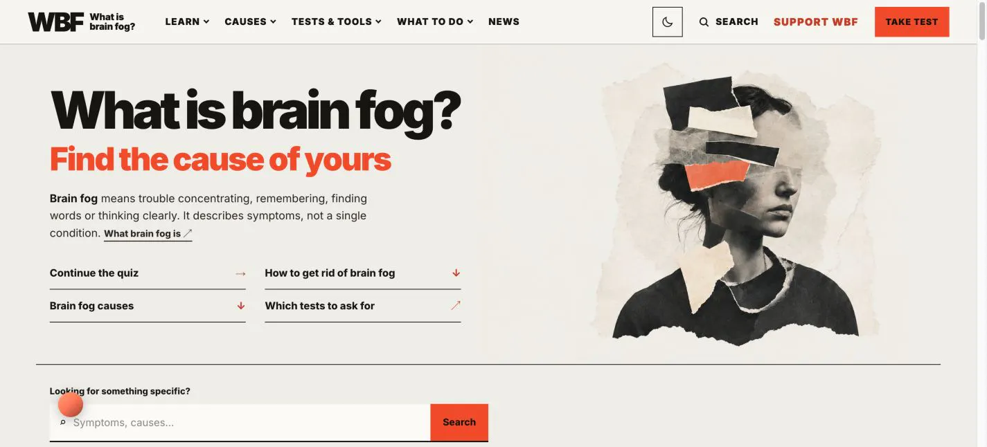 What Is Brain Fog gallery image