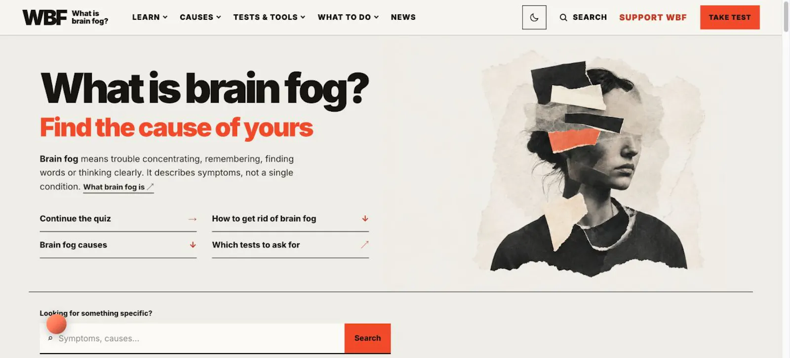 What Is Brain Fog screenshot 1