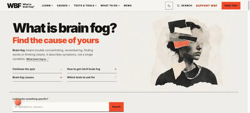 What Is Brain Fog screenshot 1