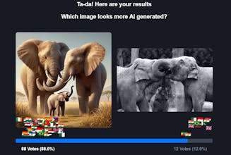 Rapidata Compare Survey Tool gallery image