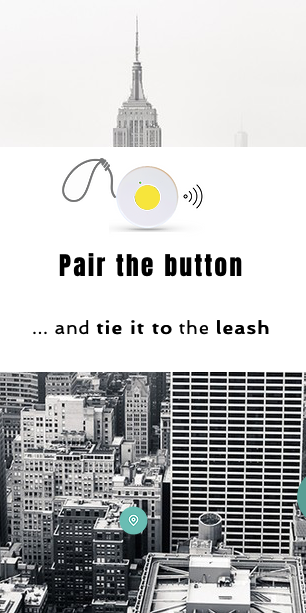 GoGo Walk 🦮 🔘 gallery image