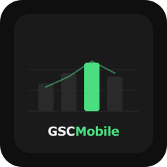GSC Mobile Google SearchConsole on Phone