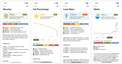 Body Size gallery image