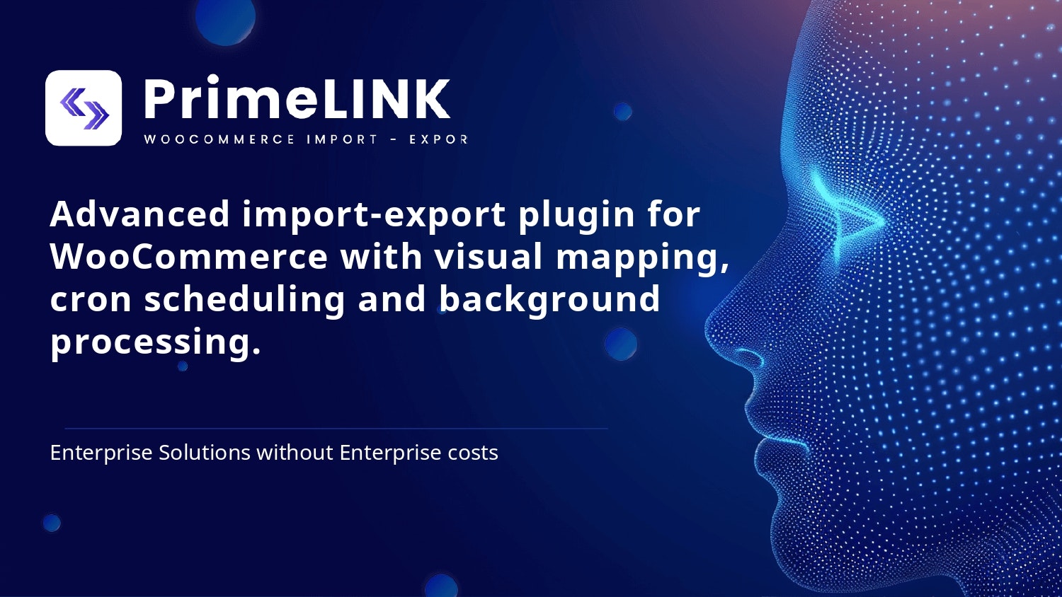 PrimeLink - Main product screenshot demonstrating key features and user interface