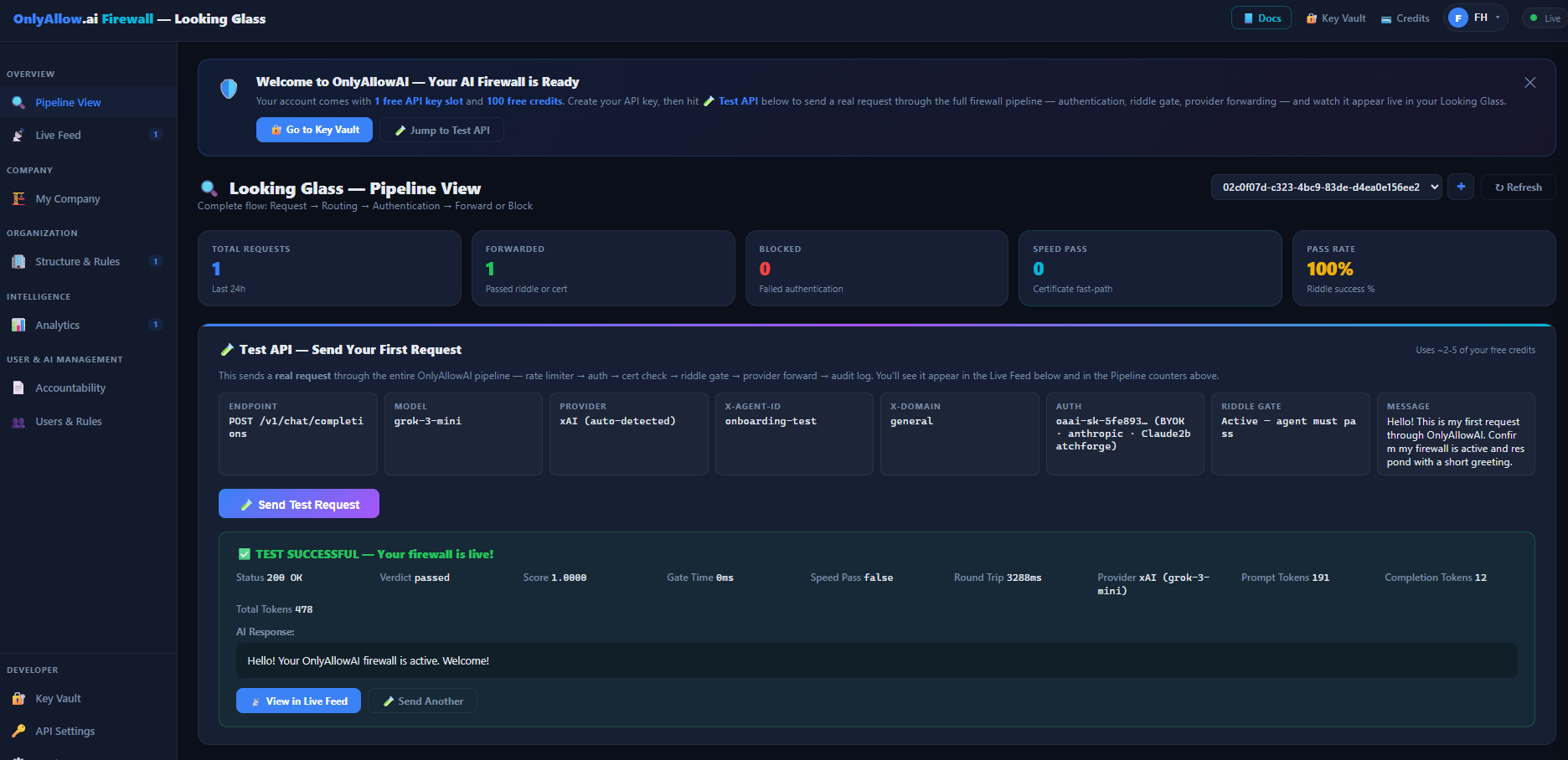 API Riddle Firewall and Vault System gallery image