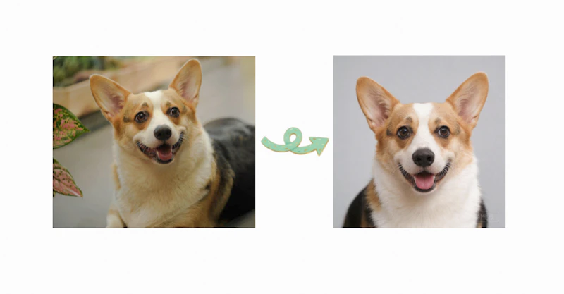DogPhotoAI screenshot 6