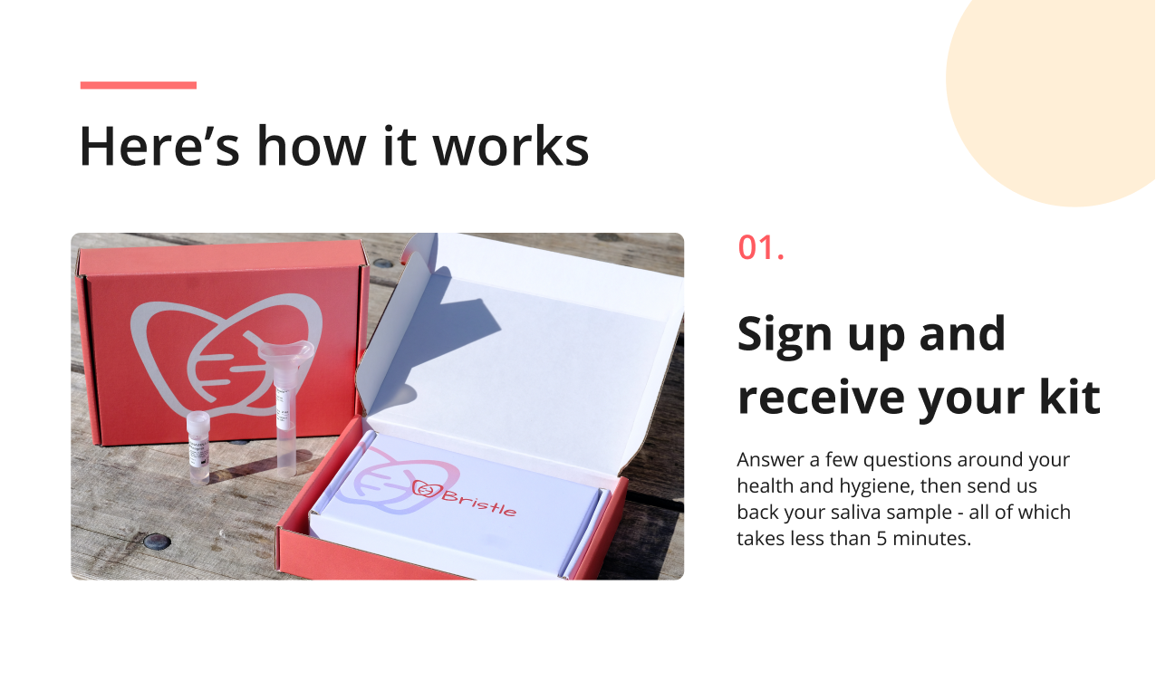 Bristle gallery image