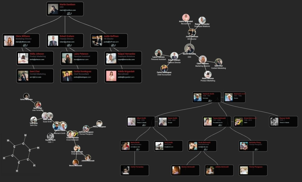 6 Groups - Organigrams, family trees, mind maps & more media 5