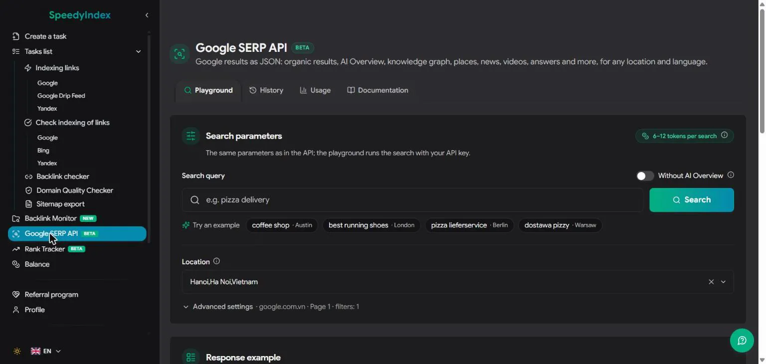 SpeedyIndex - Google indexing service gallery image