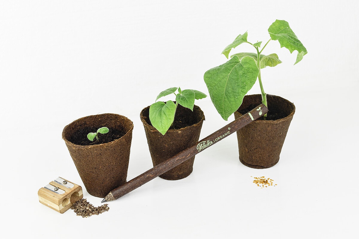 Fabula Organic Pencil