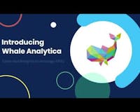 Whale Analytica media 1