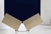 Bang & Olufsen