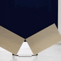 Bang & Olufsen