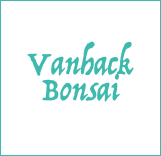 Vanhack-Bonsai