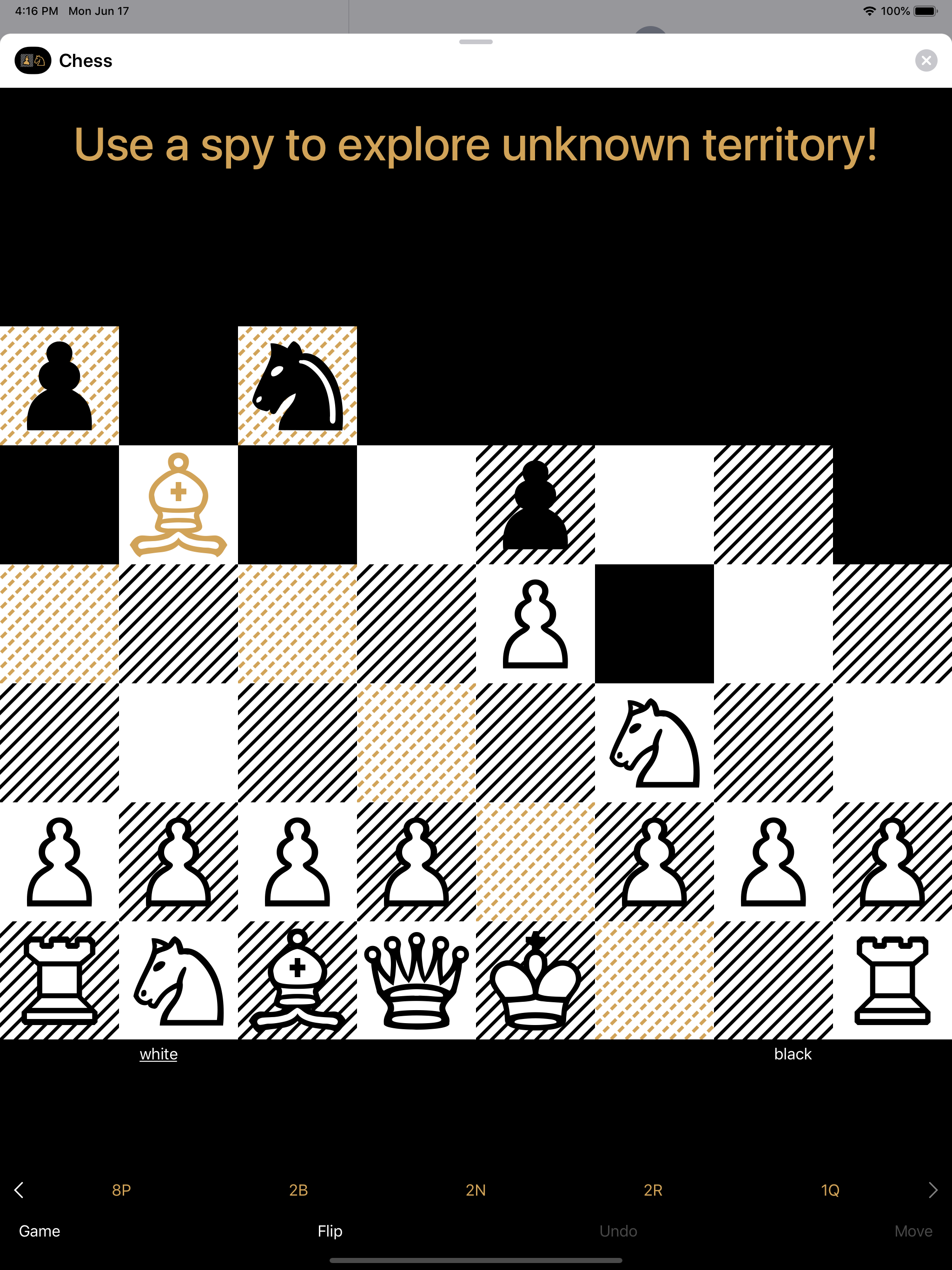 Chess gallery image