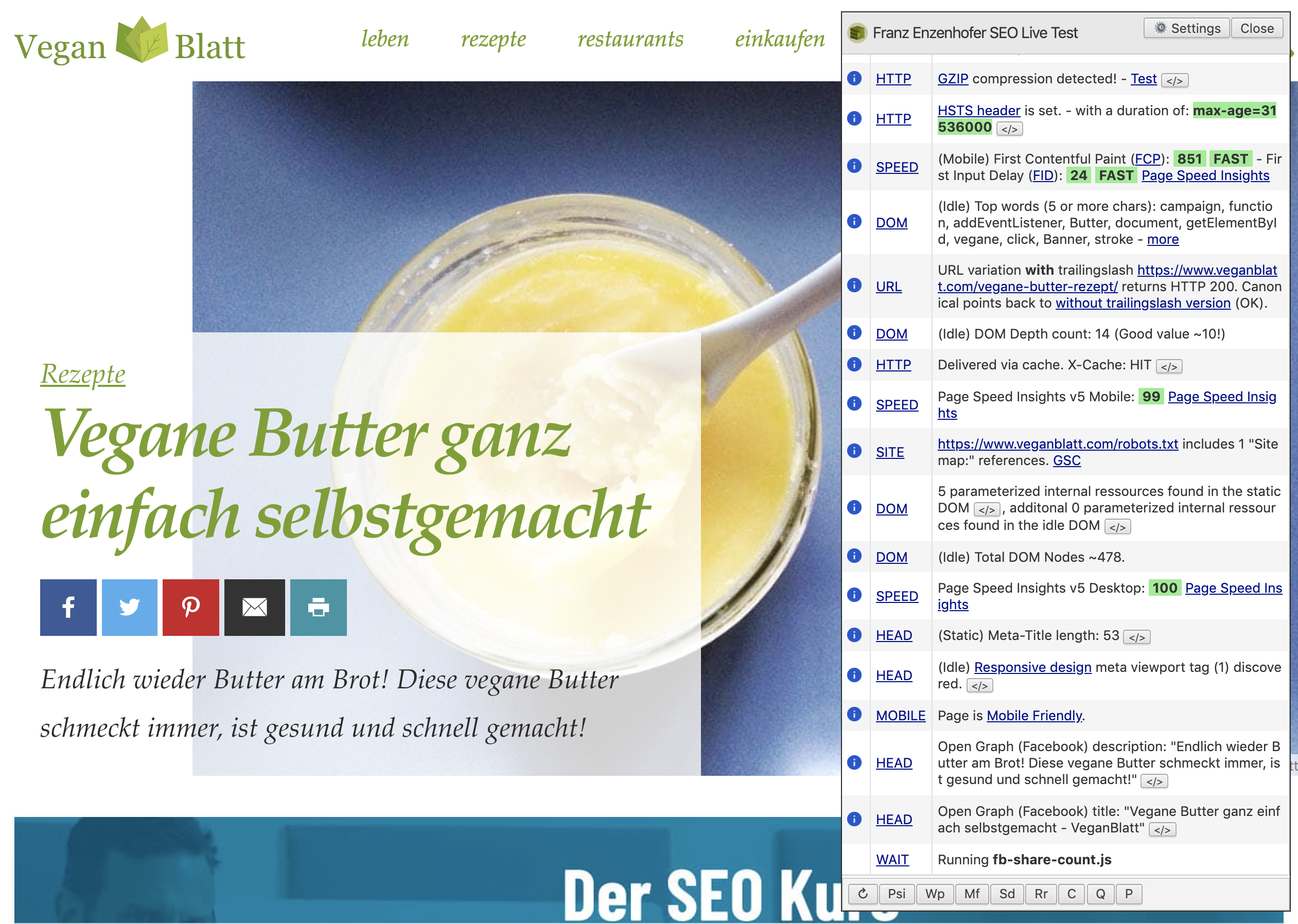 Franz Enzenhofer SEO Live Test V2.0.1 gallery image