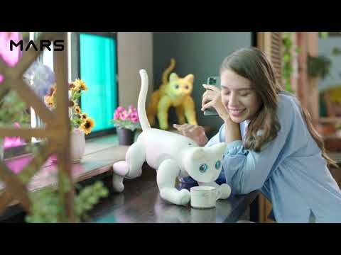 MarsCat gallery image