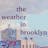 The Weather in Brooklyn