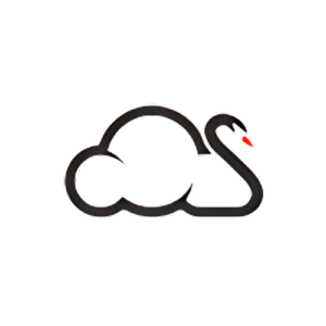 cloudswansolution.com