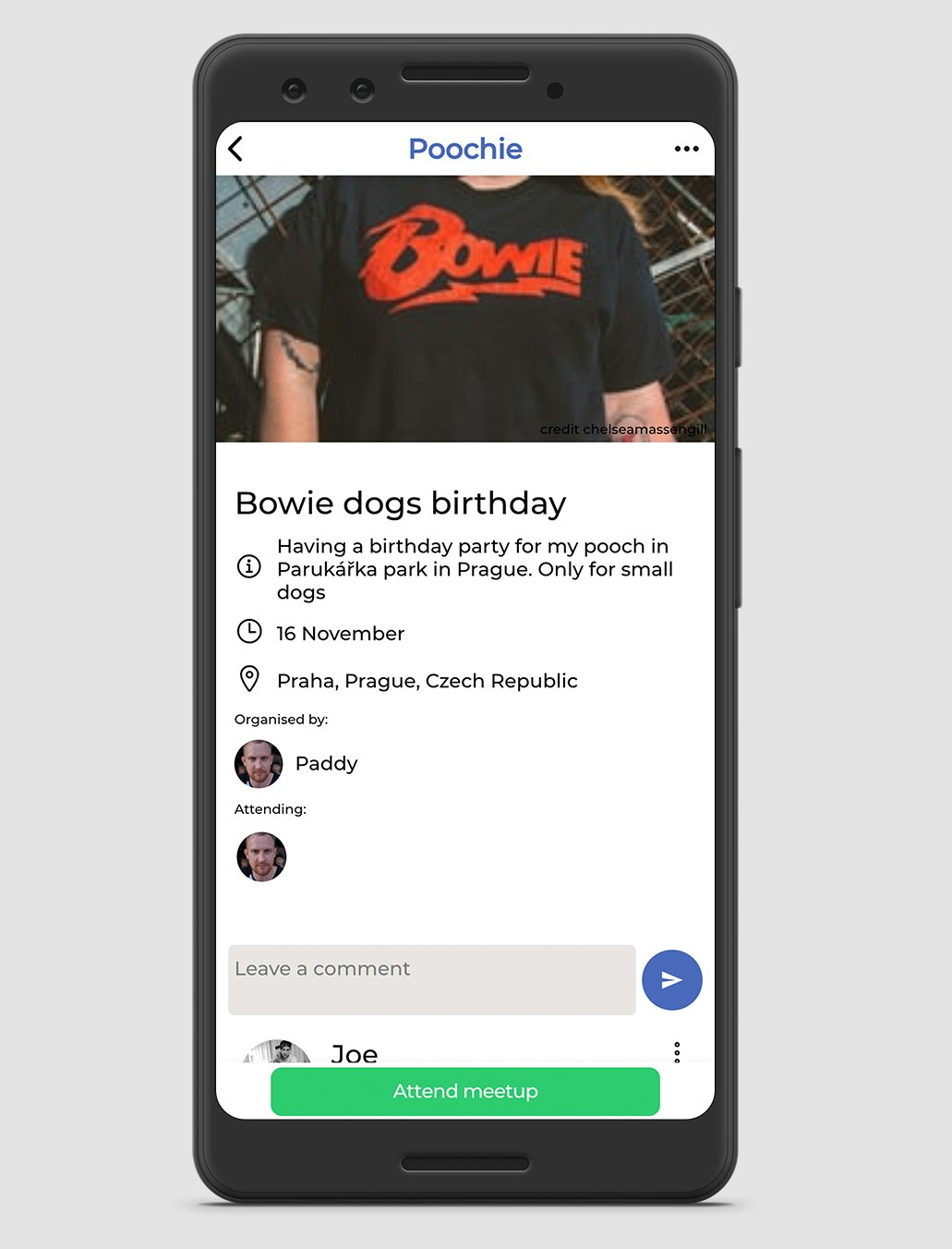 Poochie App gallery image