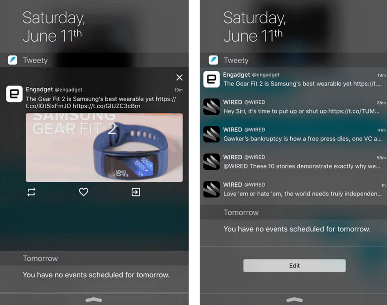 Tweety gallery image