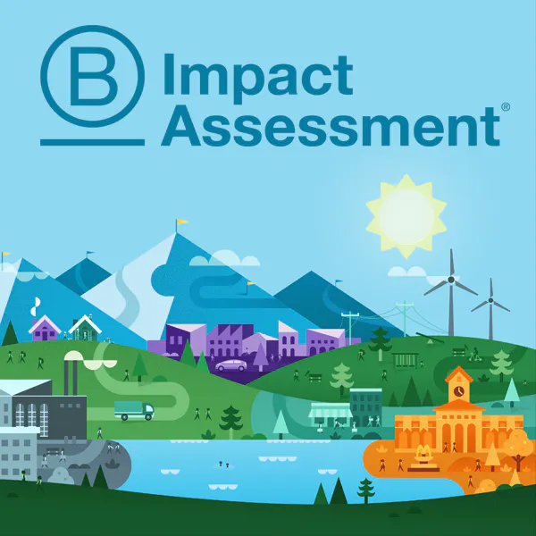 B Impact Assessment