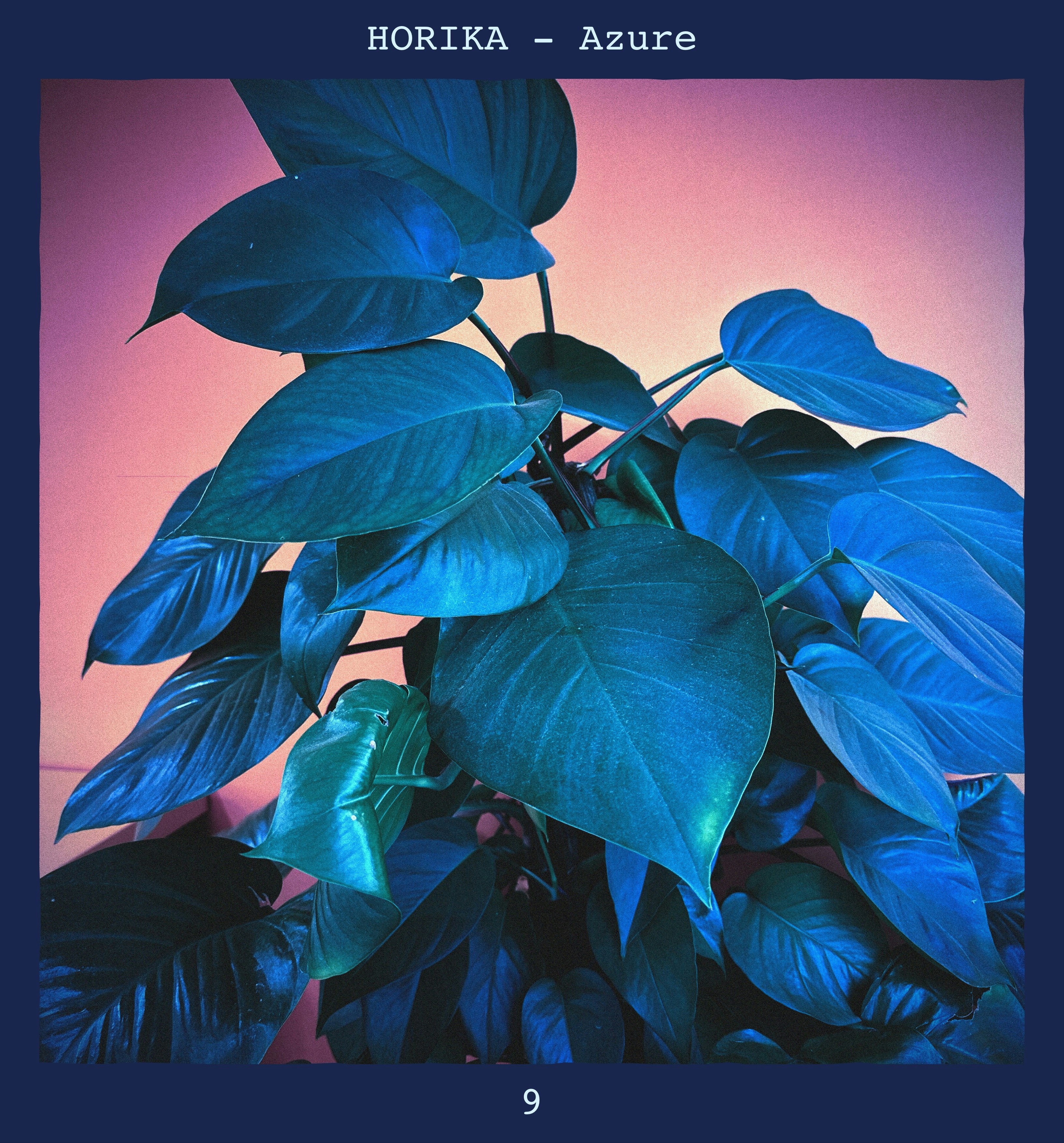 Horika gallery image