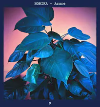 Horika gallery image