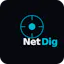 NetDig — Free DNS & Network Tools