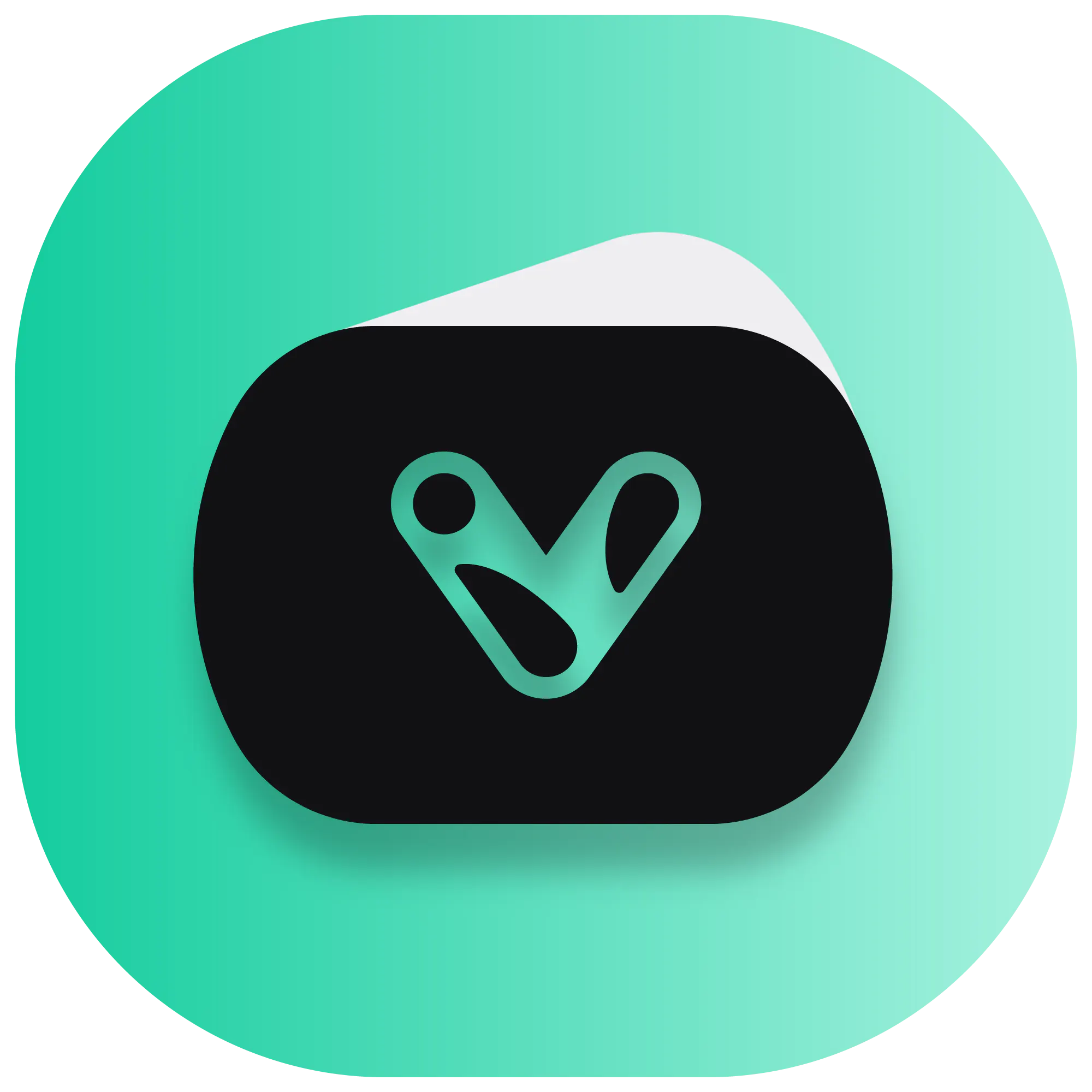 Ivy Wallet