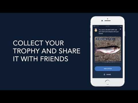 Deep Fish gallery image