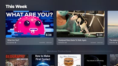 Kinescope — YouTube done right! gallery image