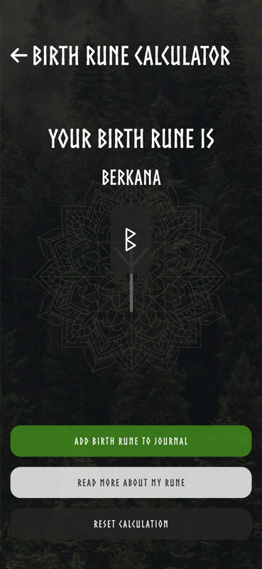 Runes Yolu - Eski Viking Aracı: Runes medya 6