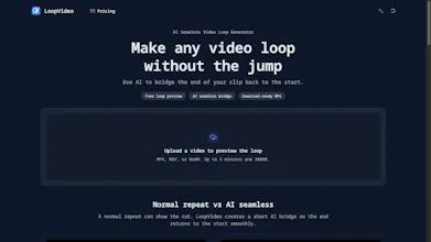 LoopVideo gallery image