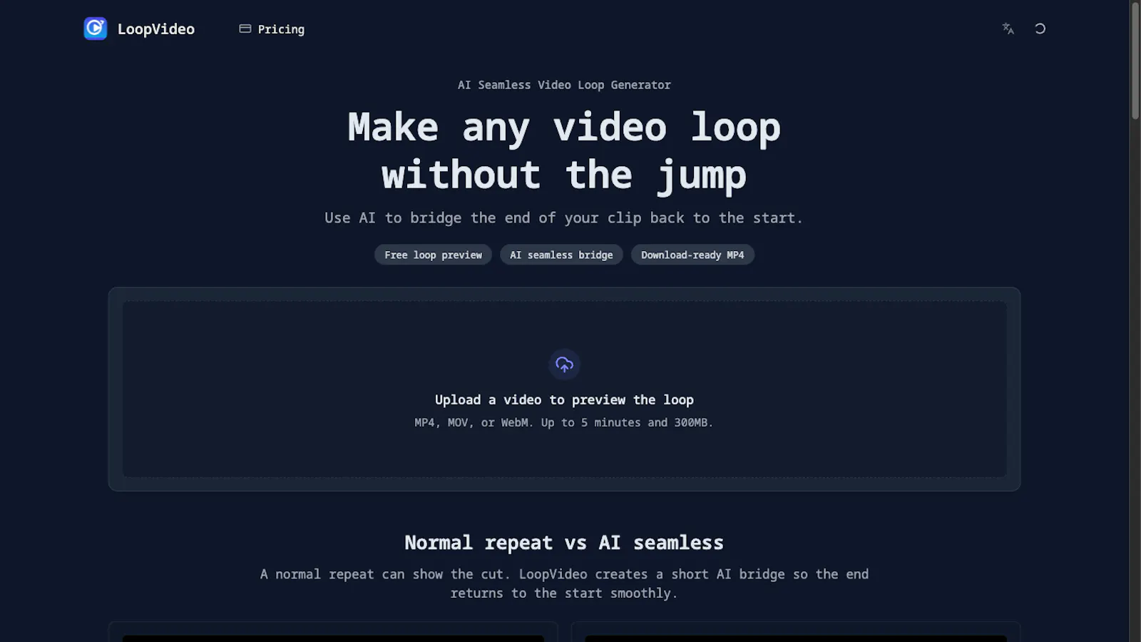 LoopVideo screenshot 2
