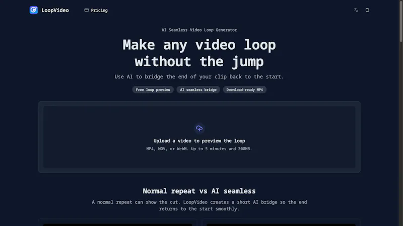 LoopVideo screenshot 2