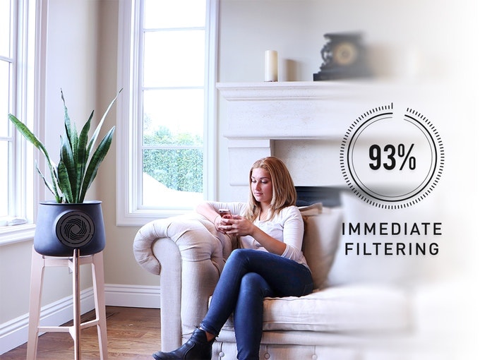 Clairy gallery image